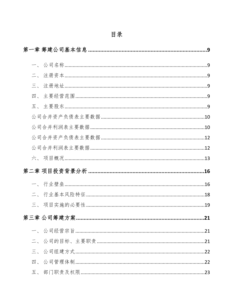 南宁关于成立汽车制动器总成公司可行性报告_第2页