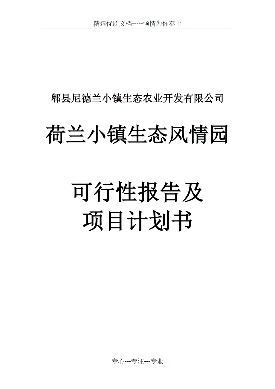 荷兰小镇生态风情园项目可行性报告及运营计划书(共29页)_第1页