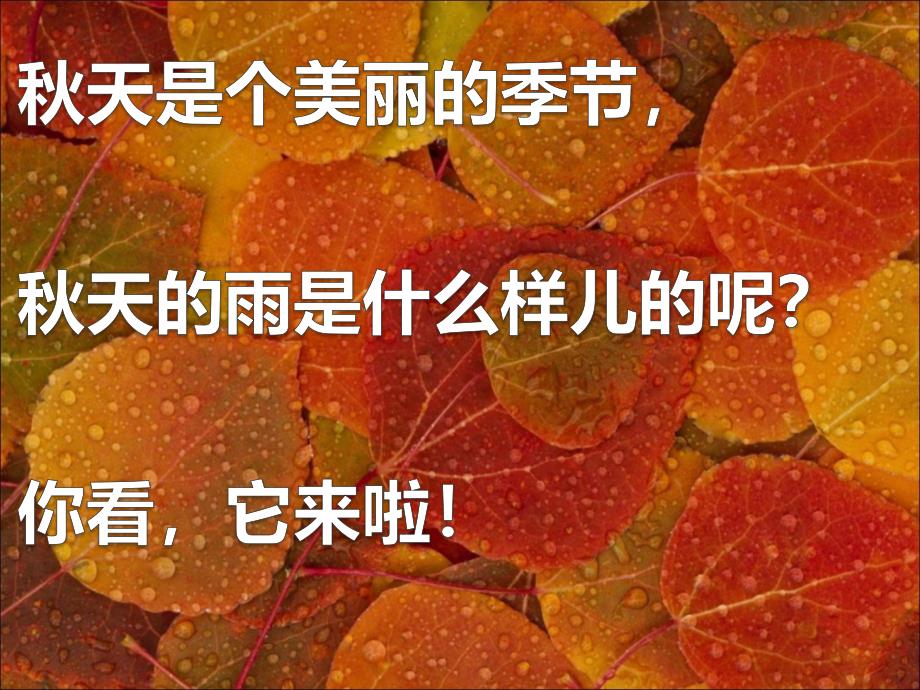 《秋天的雨》PPT课件_第3页