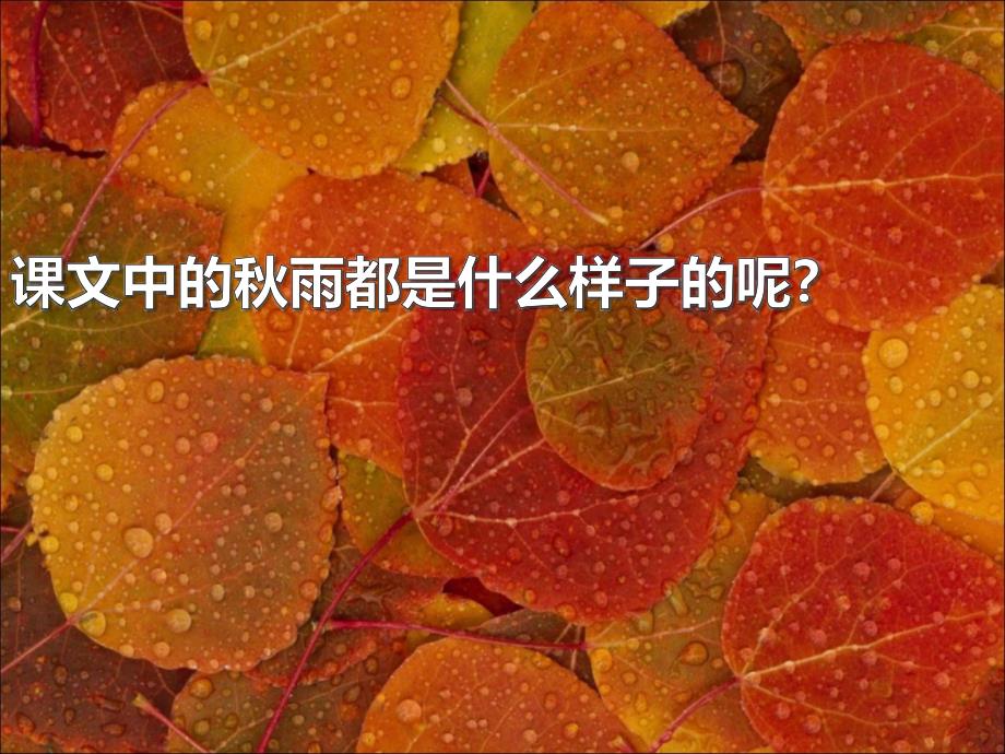 《秋天的雨》PPT课件_第4页