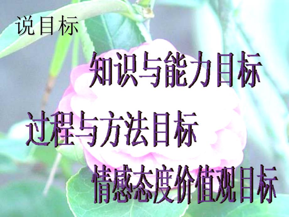 自己的花是给别人看的shuoke_第4页