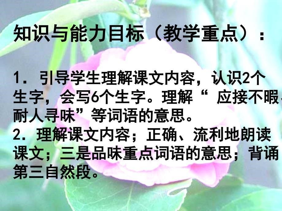 自己的花是给别人看的shuoke_第5页