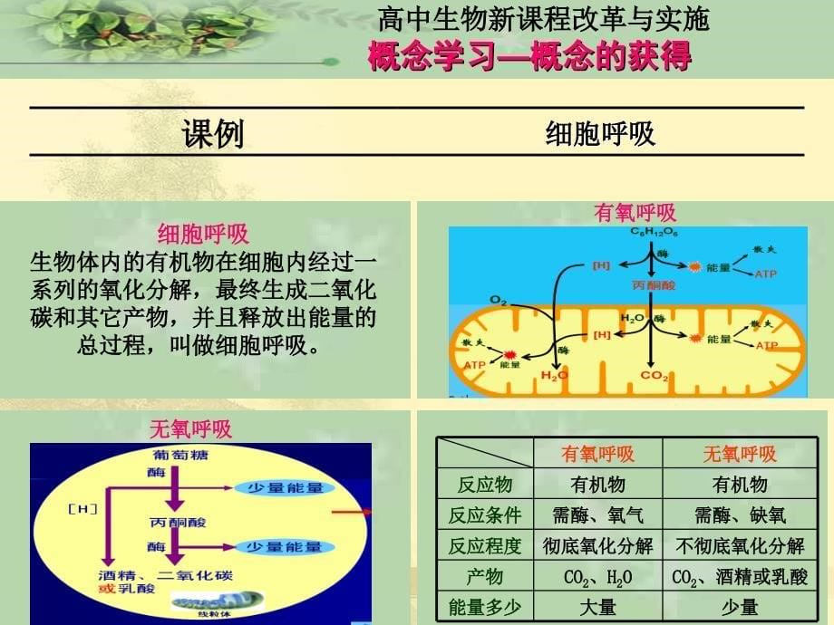 高中生物新课程改革与实施系列之教学实施与反思_第5页