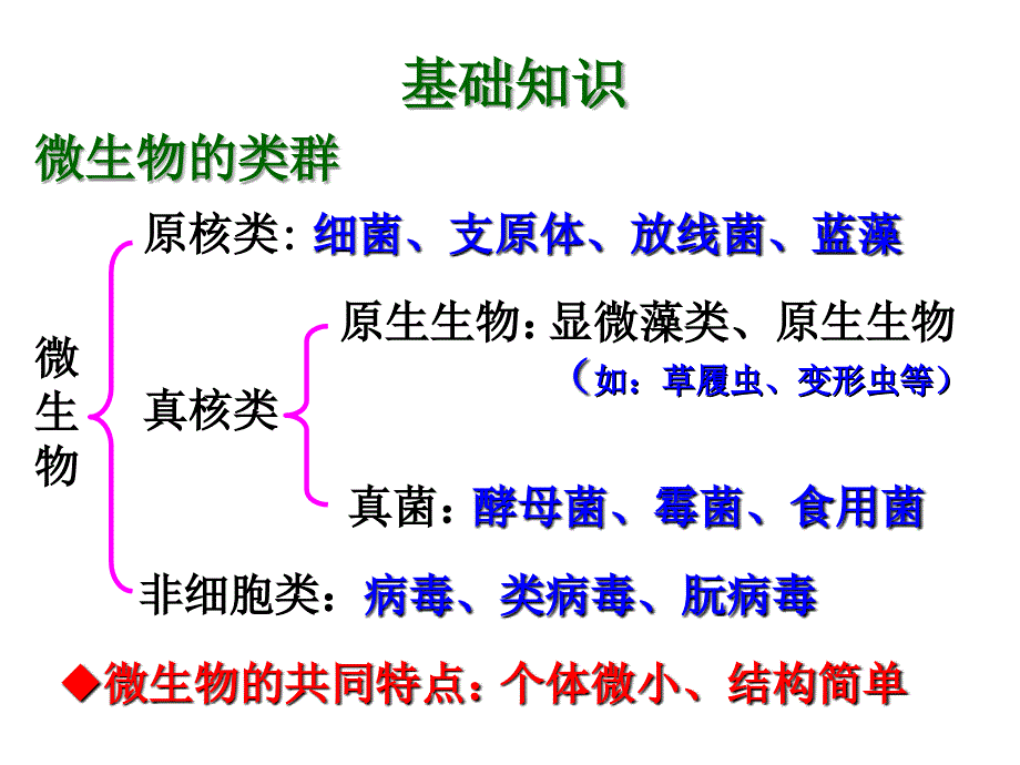 选修一2.1微生物的实验室培养上新课用_第2页