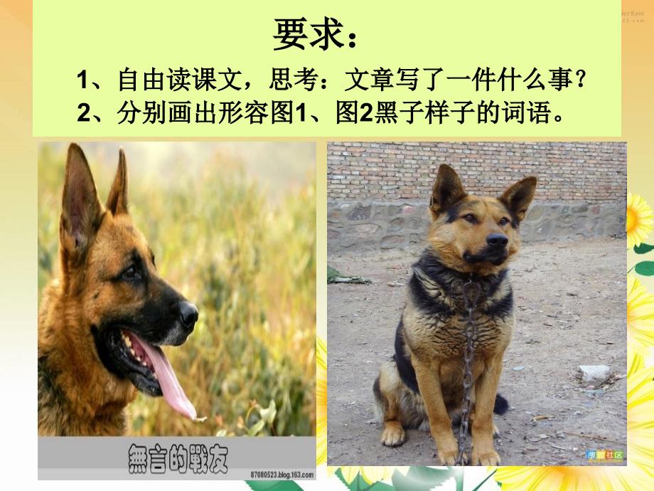 听课军犬黑子1_第3页