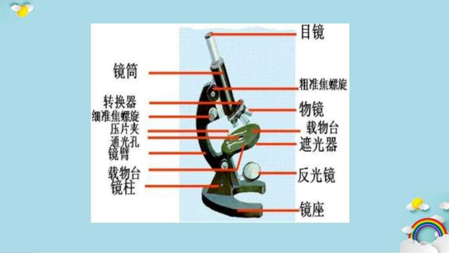 洋葱表皮细胞的制作和观察干货分享_第3页