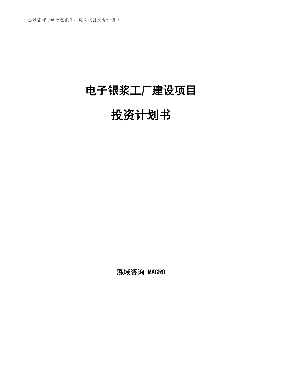 电子银浆工厂建设项目投资计划书_第1页