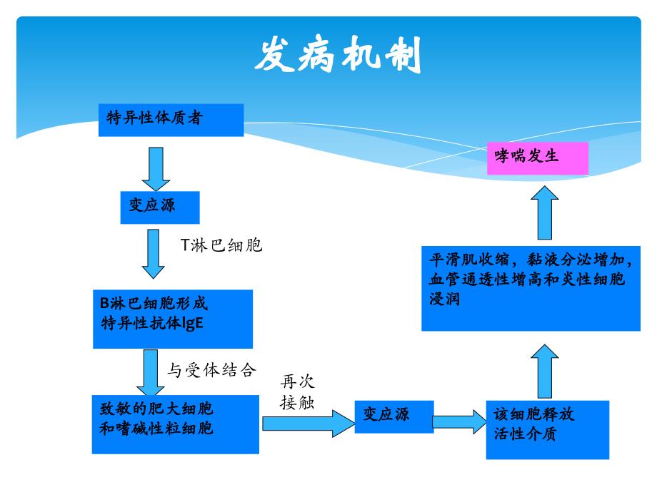 支气管哮喘治疗及护理.ppt_第3页