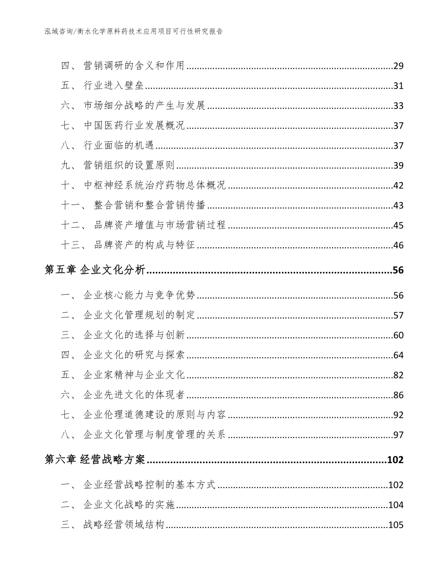 衡水化学原料药技术应用项目可行性研究报告_第3页