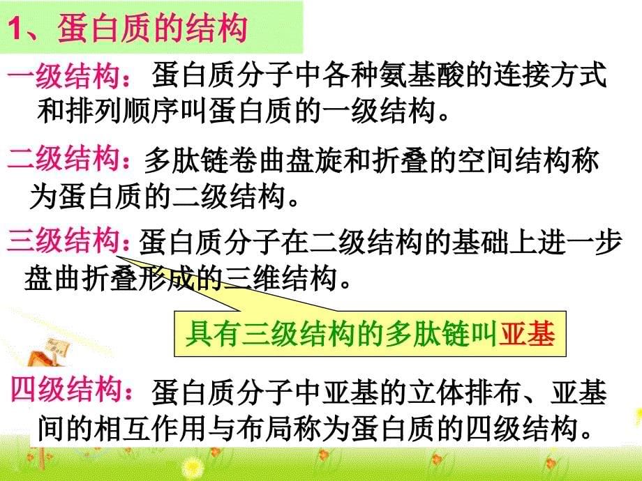 蛋白质的结构与性质_第5页