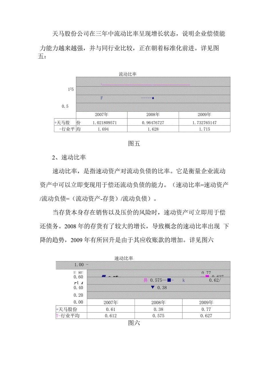 天马股份公司财务分析_第5页