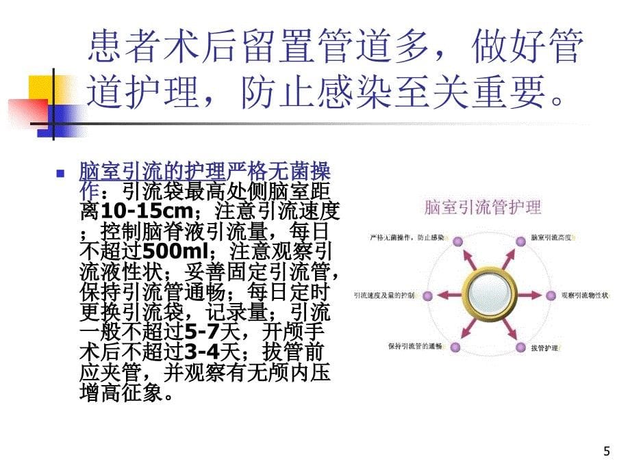 护理疑难病历讨论ppt课件_第5页