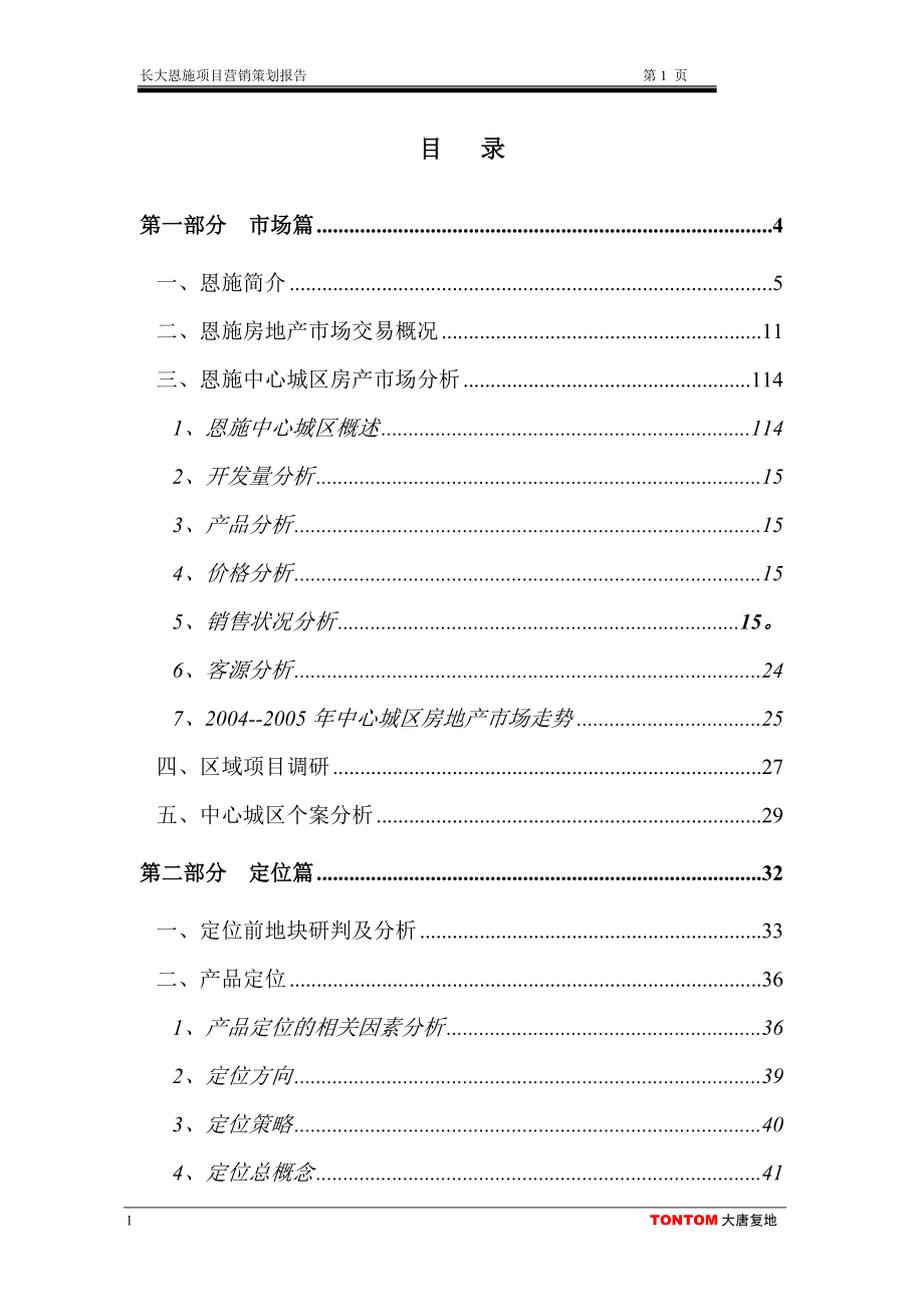 长大项目策划报告_第1页