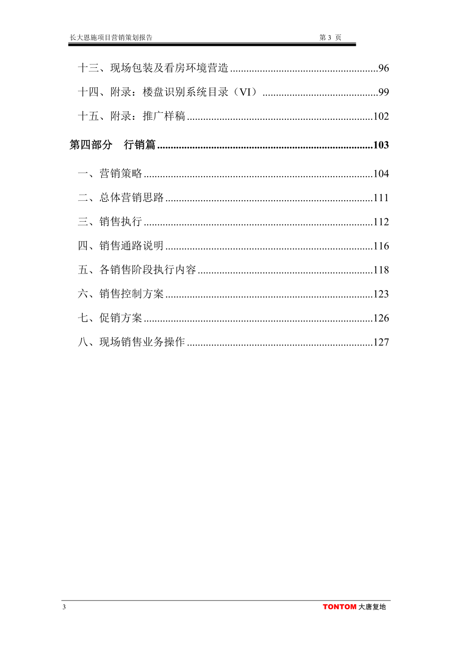 长大项目策划报告_第3页