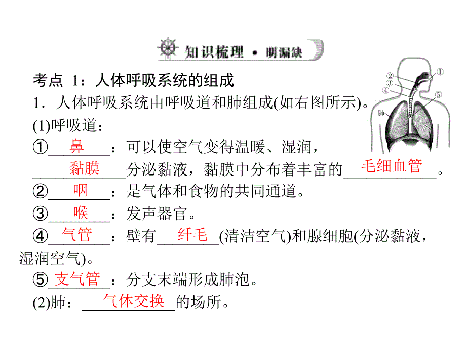 医学课件第二讲人体的呼吸_第4页