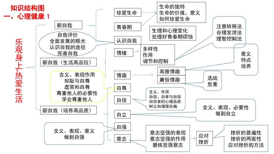 初中政治复习知识结构图课堂PPT_第1页