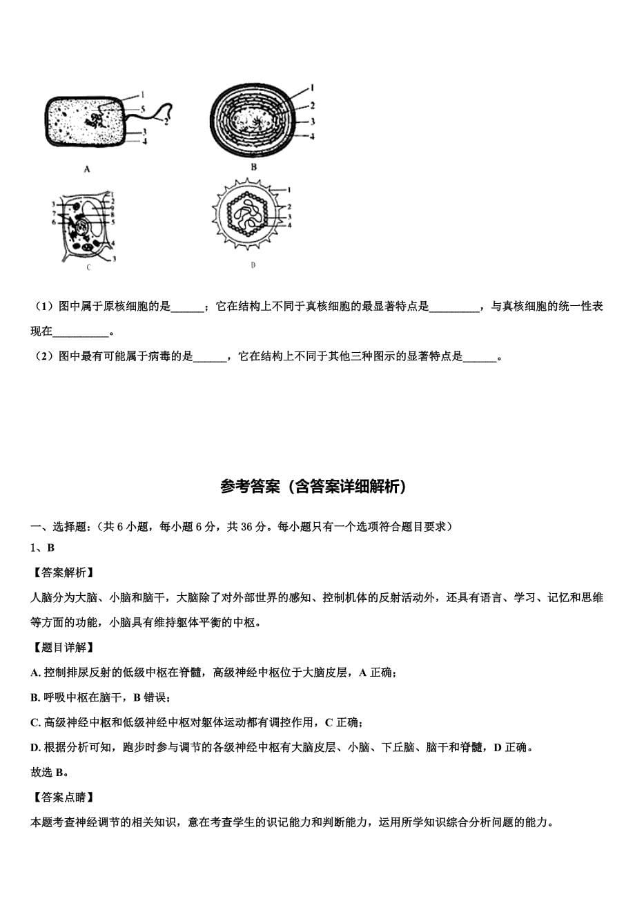 2022学年江苏省连云港市生物高二下期末复习检测模拟试题(含解析).doc_第5页