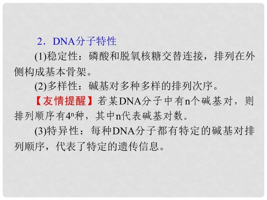 高中生物 第6讲 DNA分子的结构、复制及基因是有遗传效应的DNA片段复习课件 新人精讲版必修2_第5页