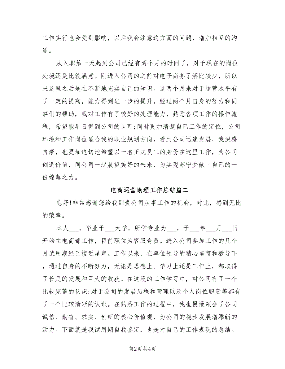 2022年电商运营助理工作总结_第2页