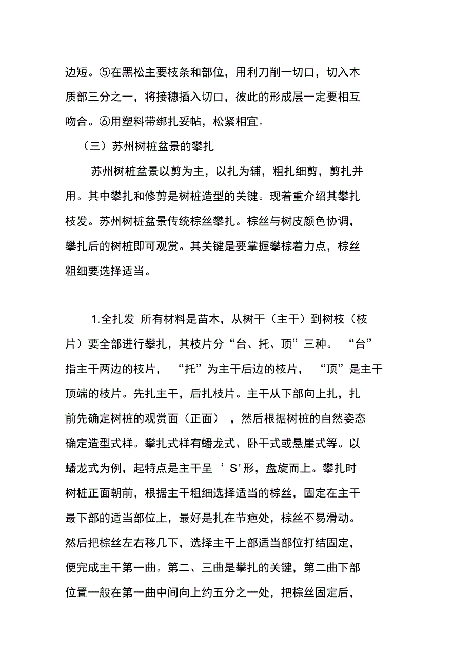 树桩盆景的制作流程时间_第3页