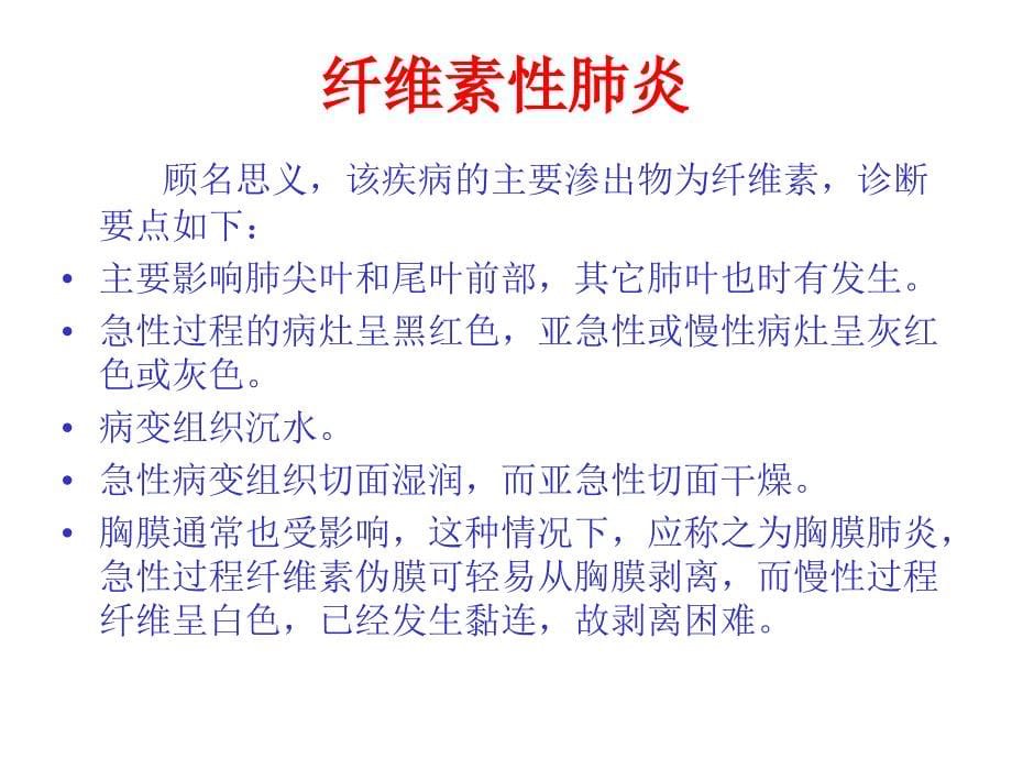 各种常见猪病解剖一3_第5页