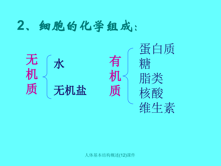 人体基本结构概述12课件_第4页