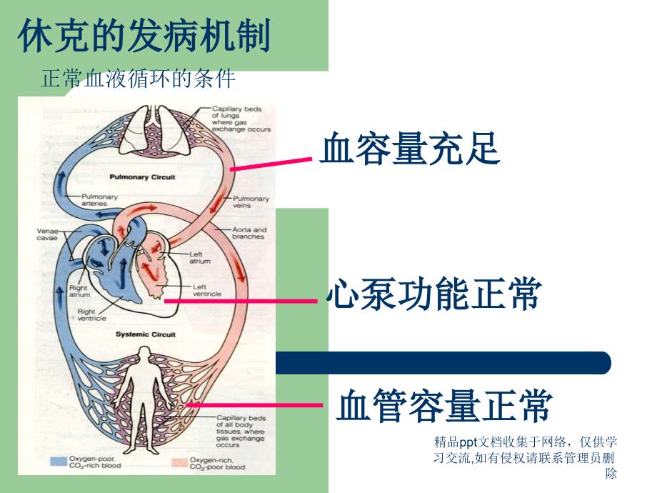 中毒性休克综合征_第3页