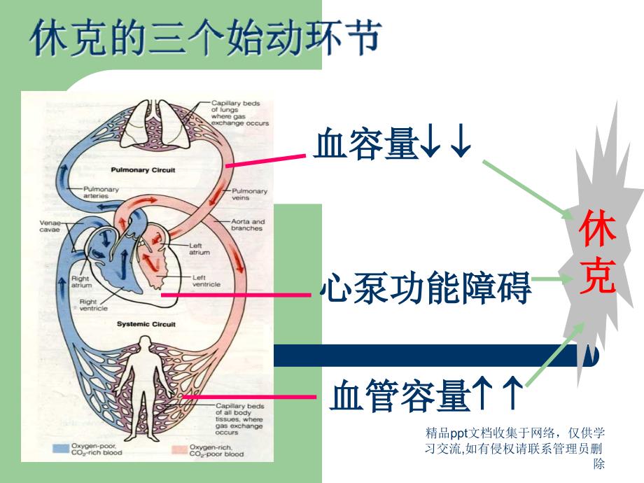 中毒性休克综合征_第4页