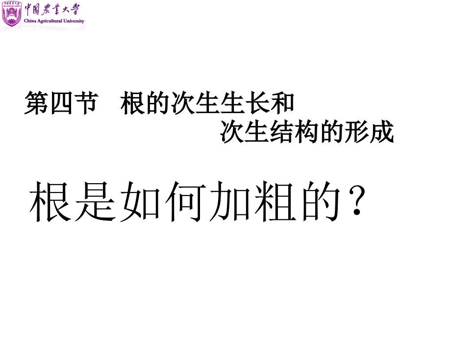 根是如何加粗的PPT课件_第1页