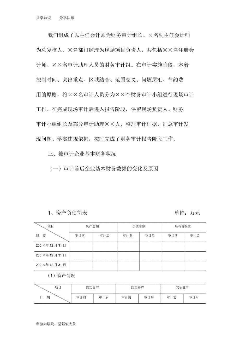 财务审计报告的模板_第5页