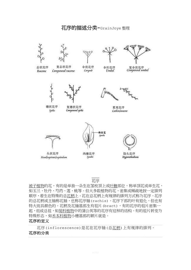 花序描述分类(最新整理).doc