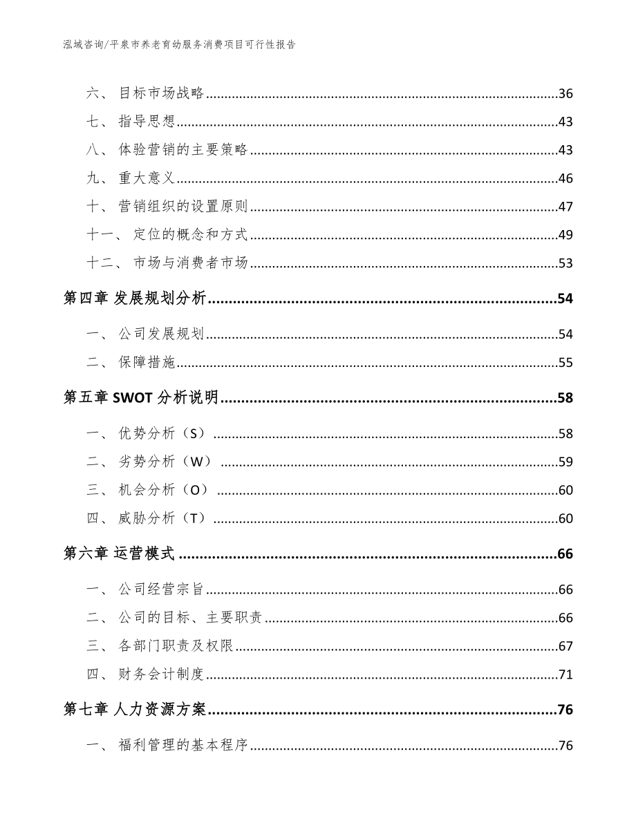 平泉市养老育幼服务消费项目可行性报告模板参考_第4页