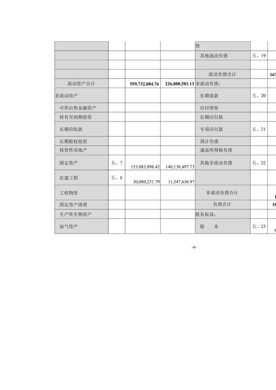 佛慈制药审计报告_第5页