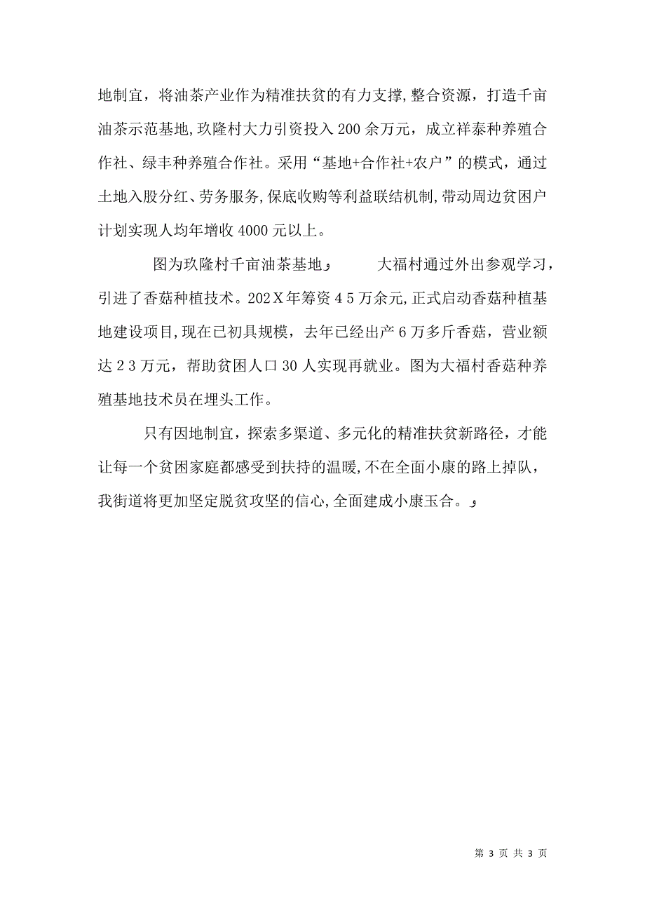 打赢脱贫攻坚战是推动高质量发展决胜全面建成小康社会五篇_第3页