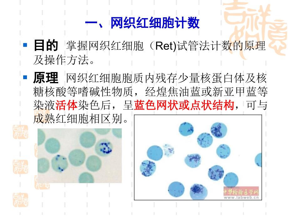 实验网织红细胞计数血沉测定_第2页