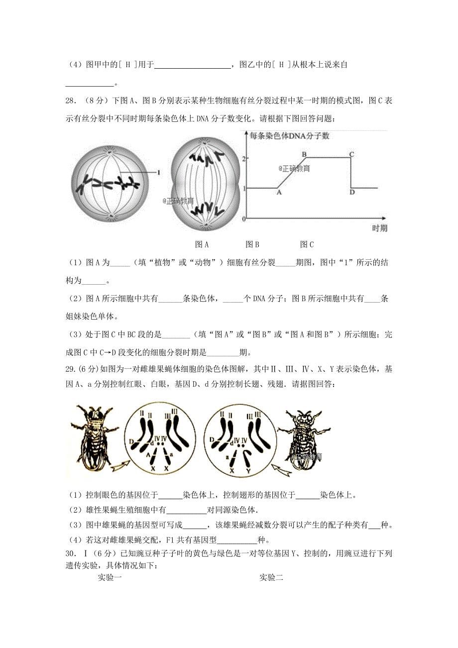 2022-2020学年高二生物上学期期初考试试题 (I)_第5页