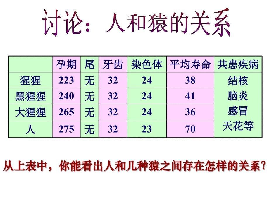 8244人类的起源和进化_第5页