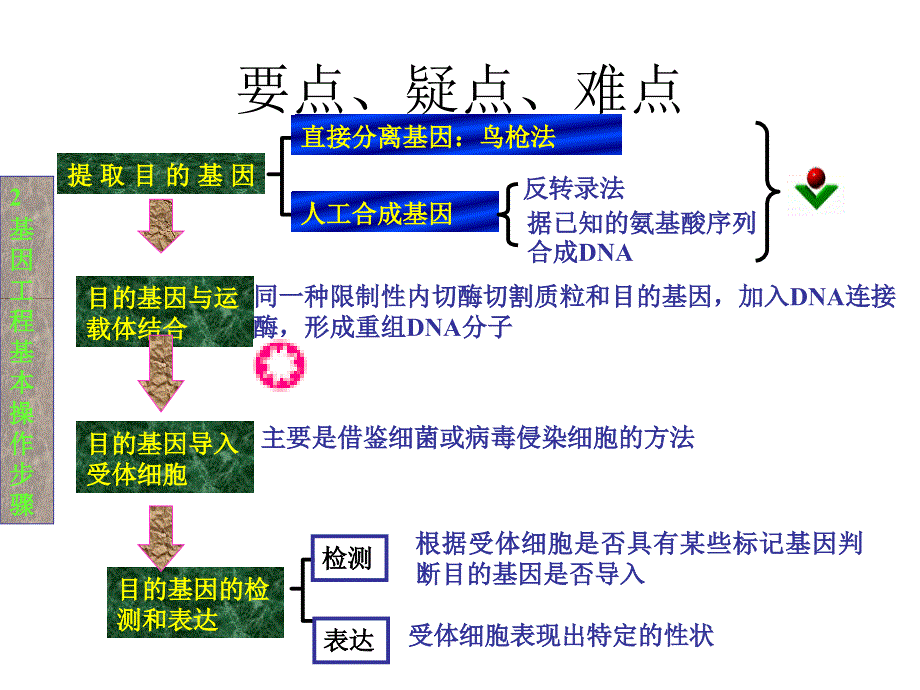 高二生物基因工程简介.ppt_第4页