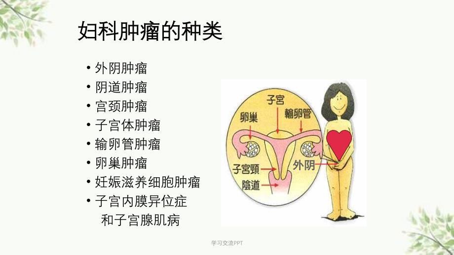 关爱女性健康远离妇科肿瘤医学课件_第3页