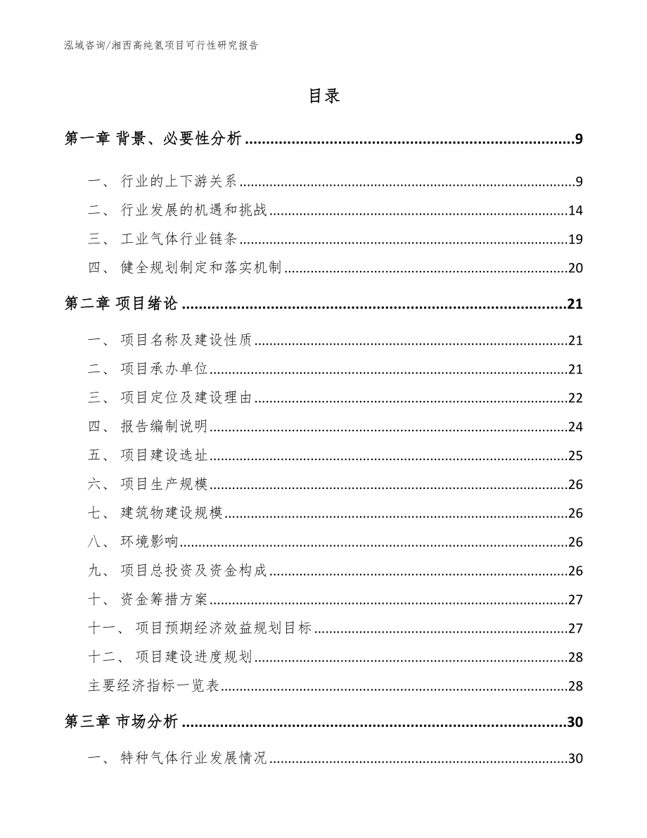 湘西高纯氢项目可行性研究报告_第2页