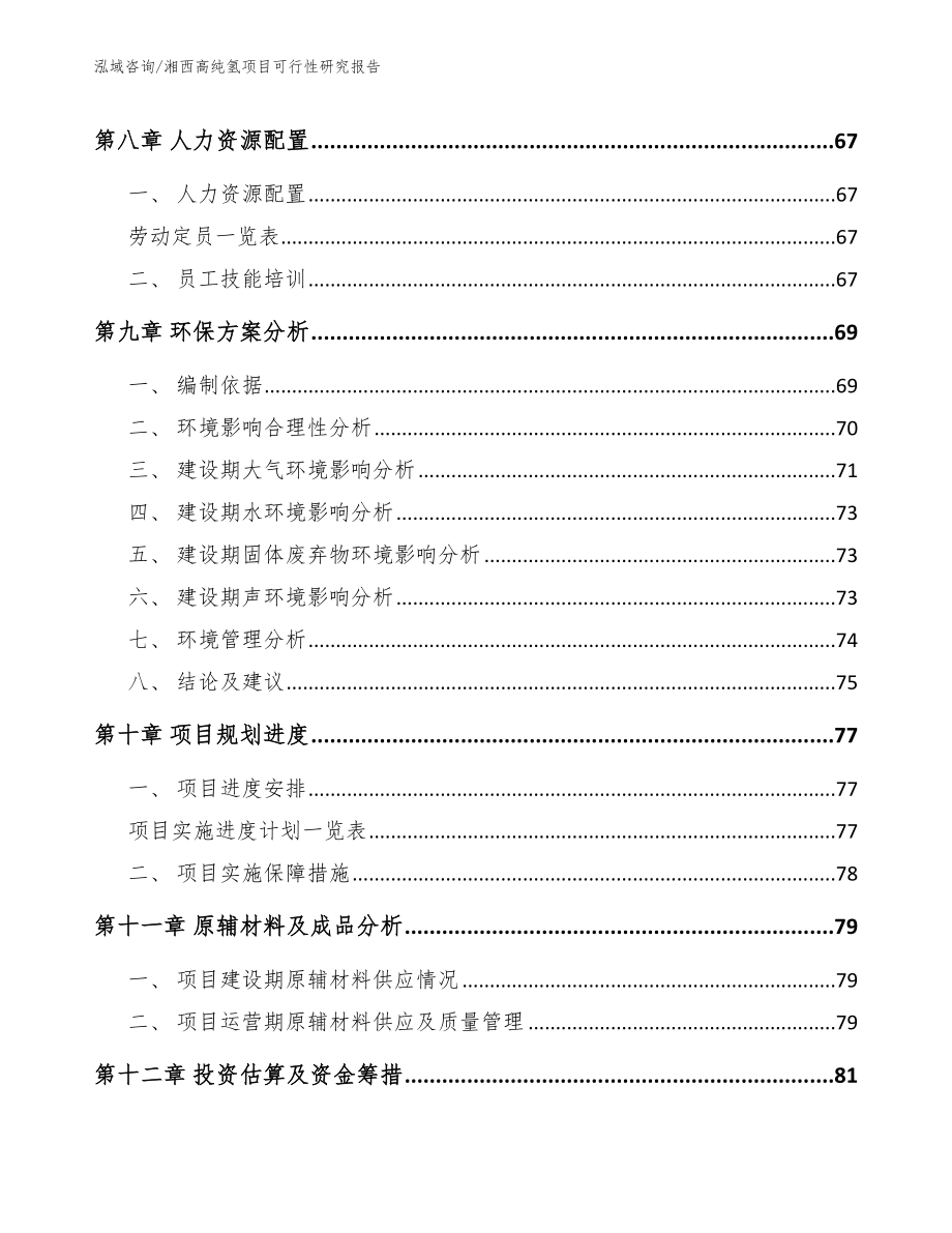 湘西高纯氢项目可行性研究报告_第4页