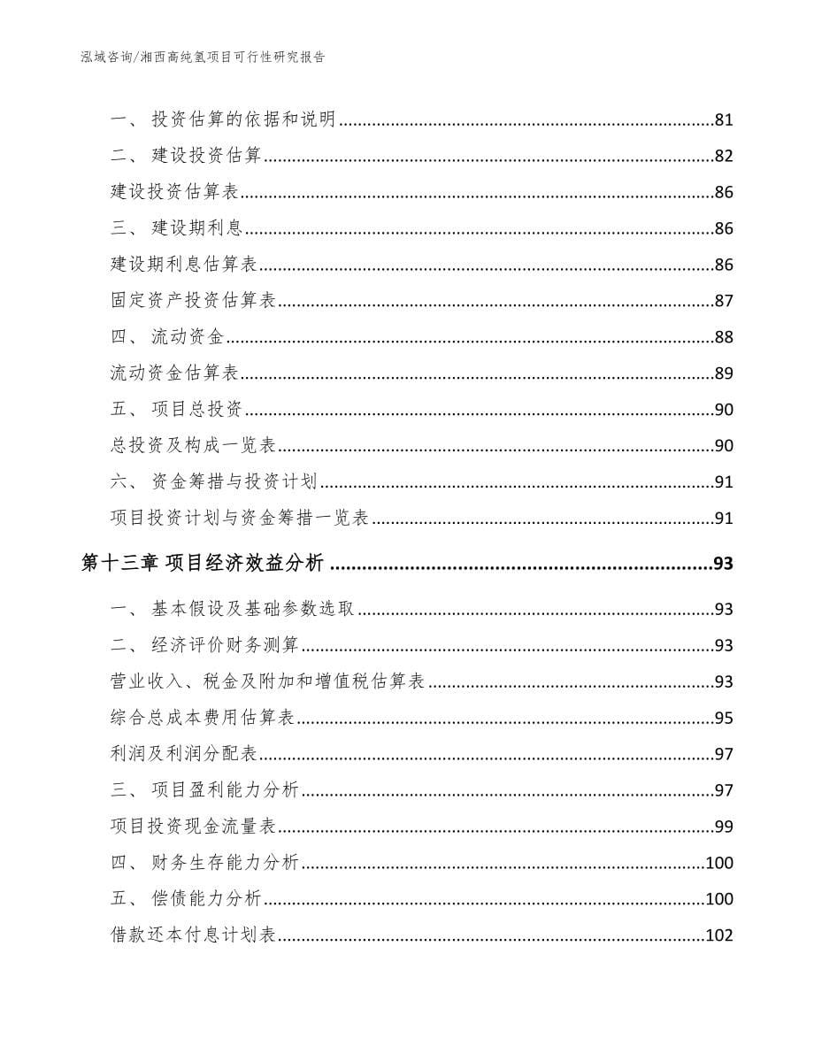 湘西高纯氢项目可行性研究报告_第5页