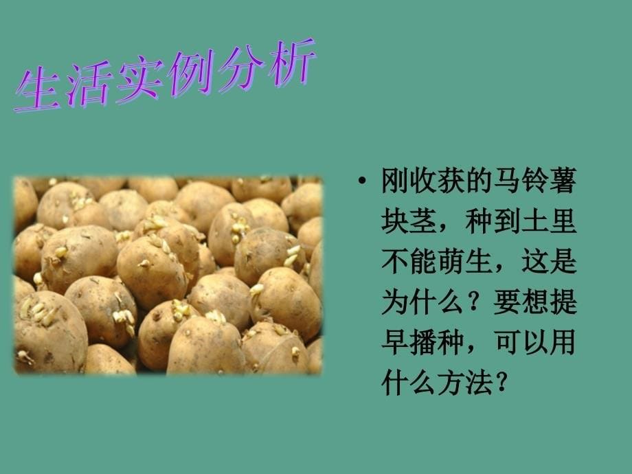 设计二其他植物激素ppt课件_第5页