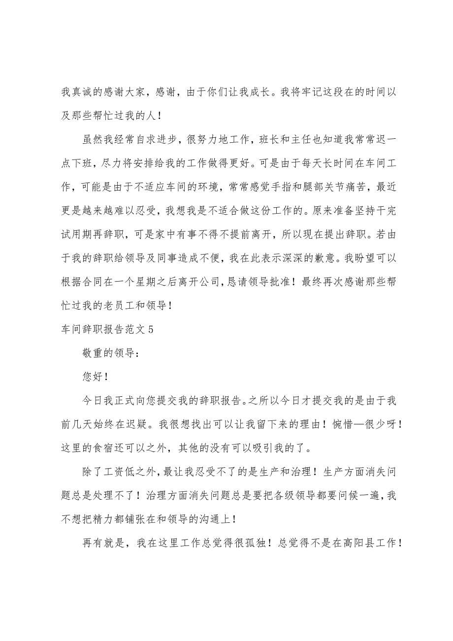 车间辞职报告.docx_第5页