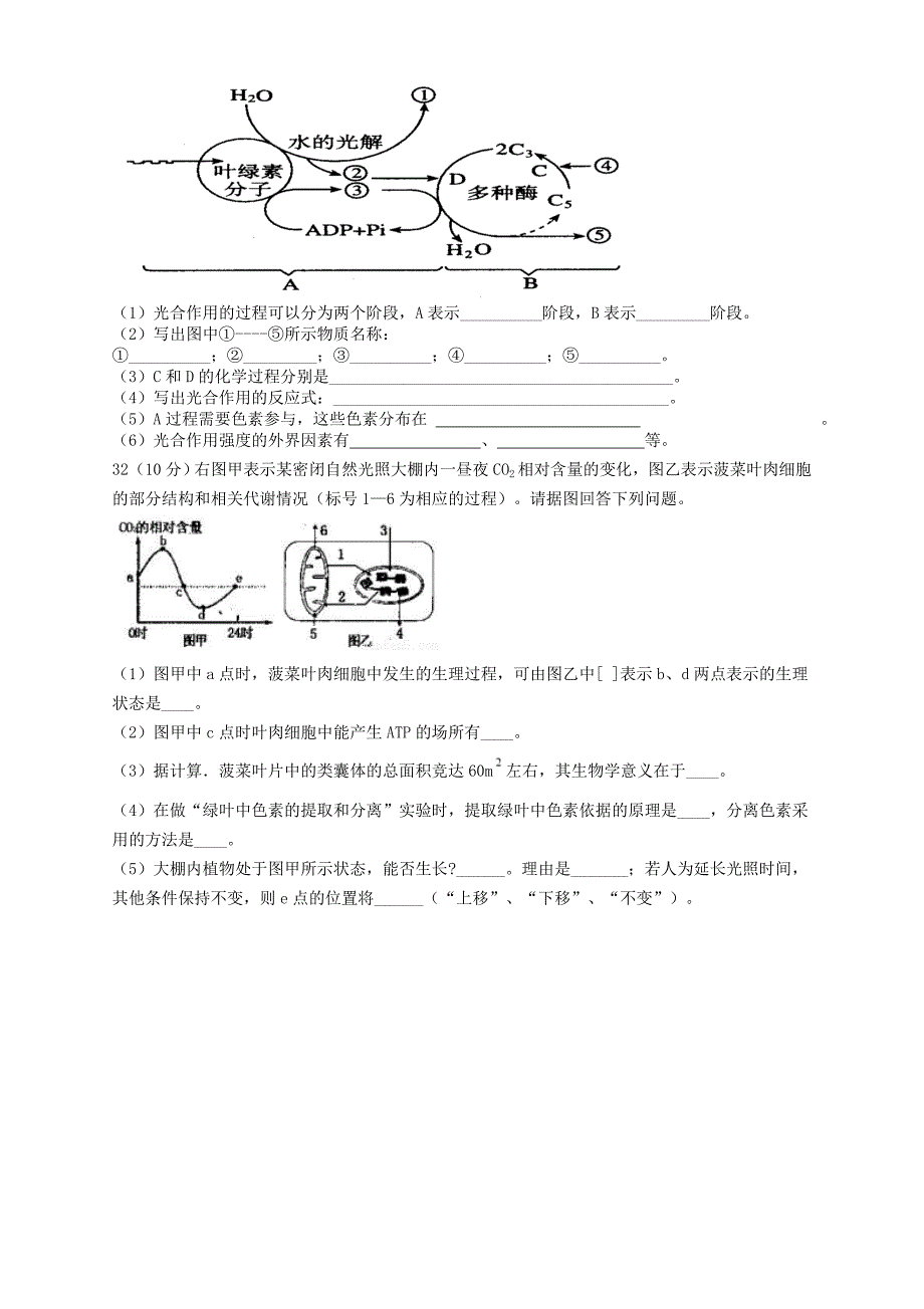 光与光合作用-练习题_第4页