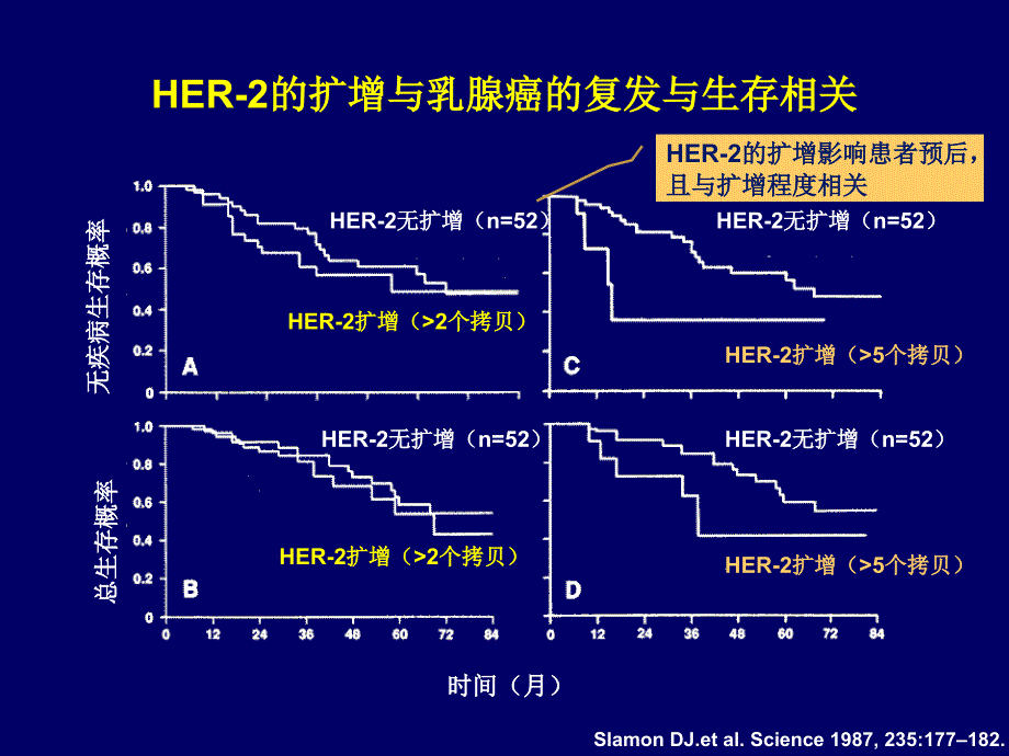 HER2阳性乳腺癌诊疗专家共识_第4页