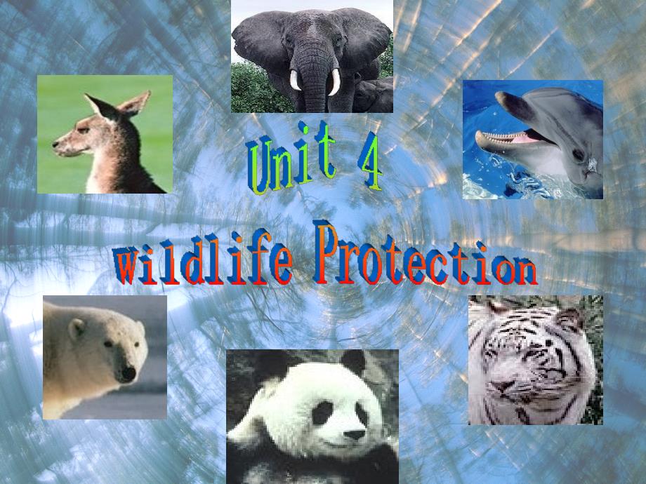 book2Unit4Wildlifeprotection课件人教版必修2[精选文档]_第1页