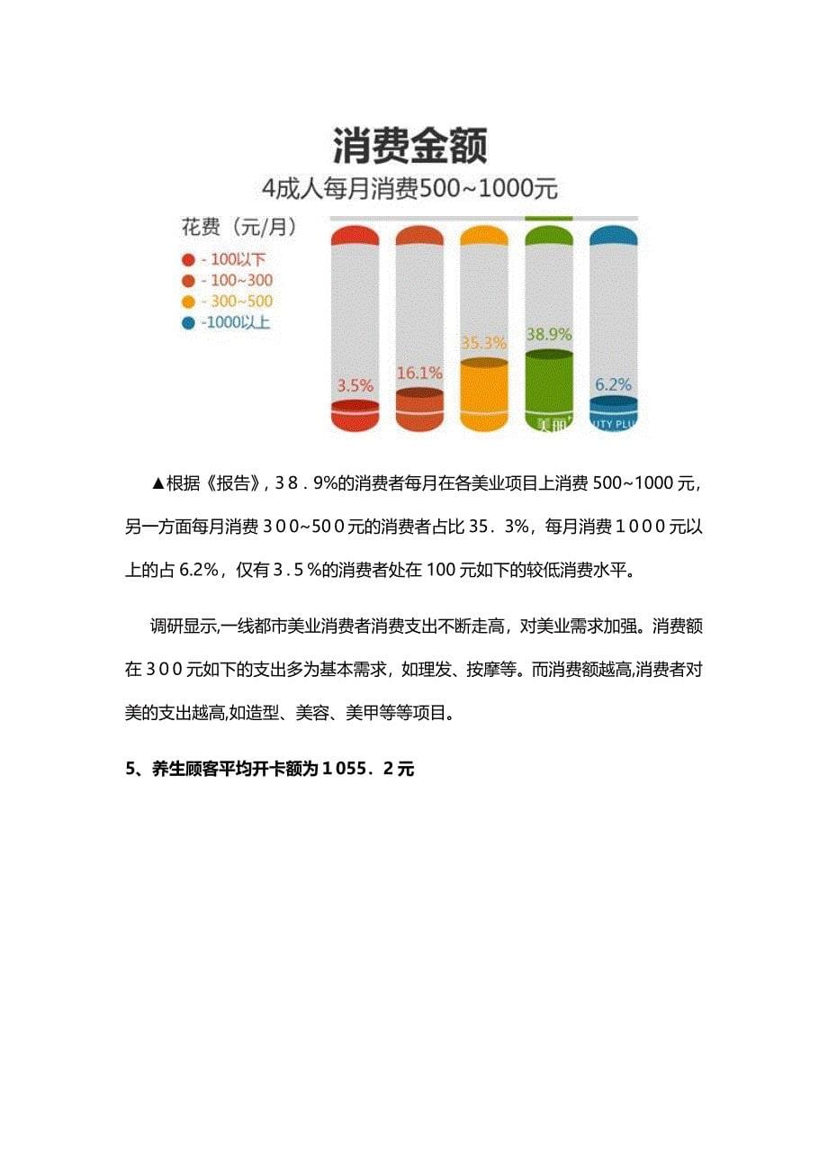 美业消费者大数据报告_第5页