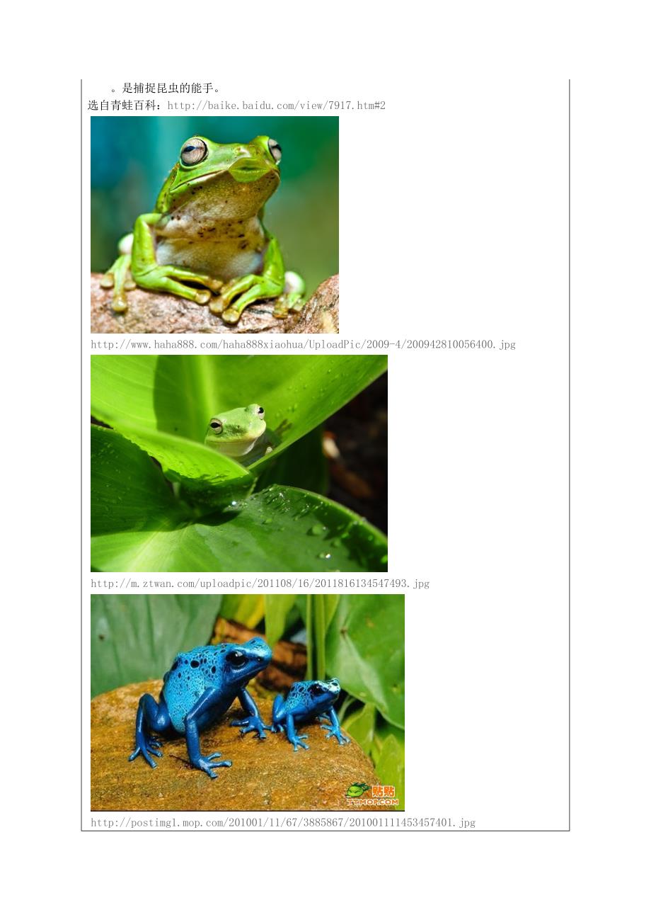 青蛙吃害虫一年级数学_第4页