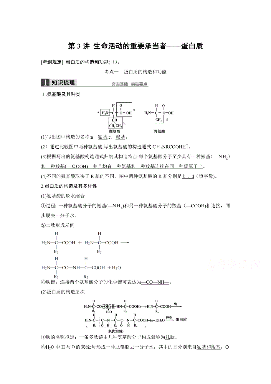 高考生物大一轮总复习 第一单元 走进细胞与组成细胞的分子 第3讲 生命活动的主要承担者——蛋白质_第1页